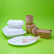 Környezetbarát csomagolás - Elviteles doboz, streetfood tálca, evőeszköz